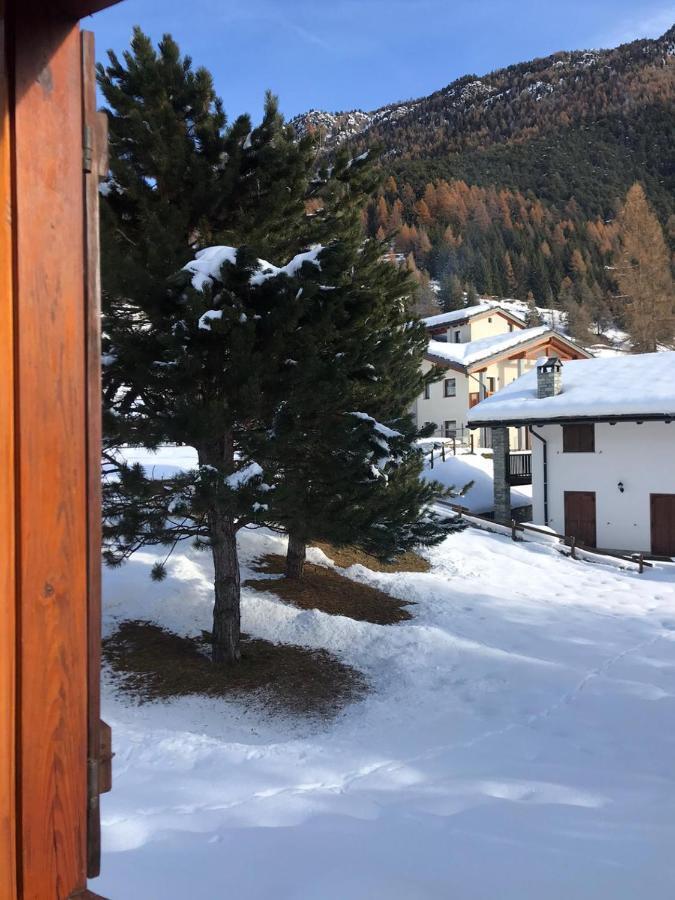 Appartamento Panoramico Orso Bianco Champoluc Kültér fotó