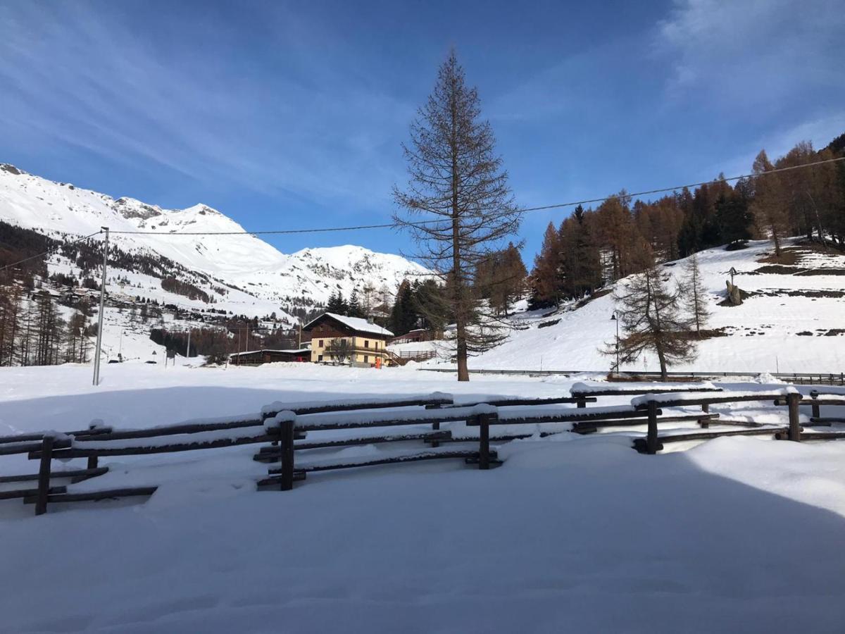 Appartamento Panoramico Orso Bianco Champoluc Kültér fotó